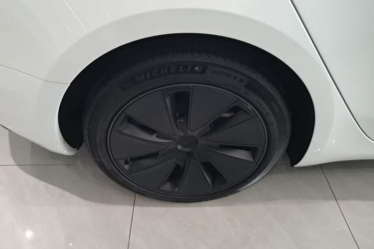 Used Tesla Model 3 2023 Rear-Wheel-Drive Version Exterior 5