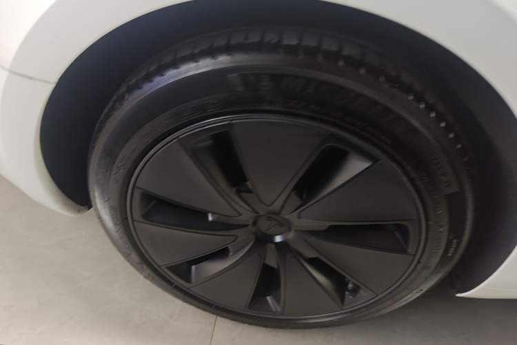 Used Tesla Model 3 2023 Rear-Wheel-Drive Version Exterior 5