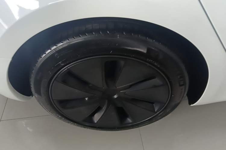 Used Tesla Model 3 2023 Rear-Wheel-Drive Version Exterior 5