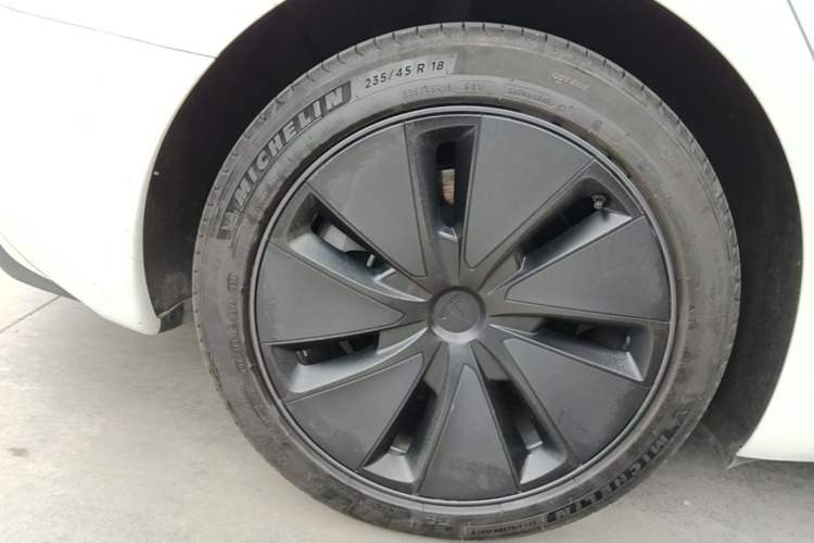 Used Tesla Model 3 2023 Rear-Wheel-Drive Version Exterior 5