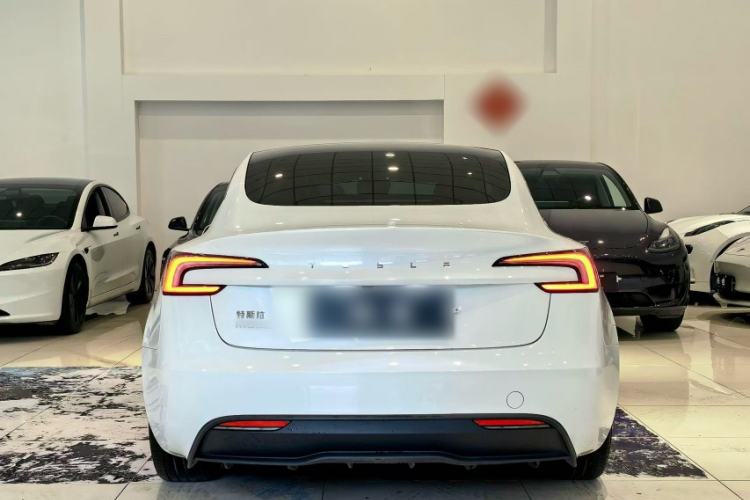 Used Tesla Model 3 2023 Rear-Wheel-Drive Version Exterior 8