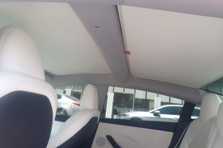 Used Tesla Model 3 2023 Long-Range All-Wheel-Drive Version Headliner
