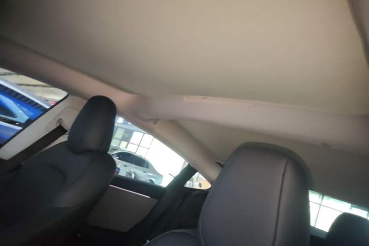 Used Tesla Model 3 2023 Rear-Wheel-Drive Version Headliner