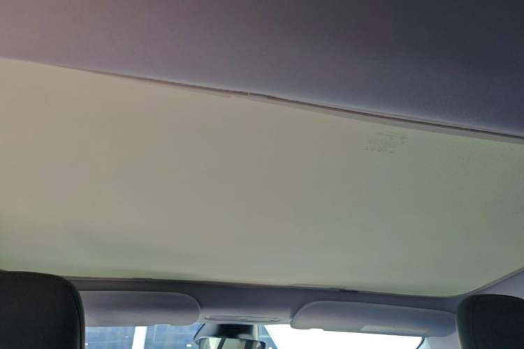 Used Tesla Model 3 2023 Long-Range All-Wheel-Drive Version Headliner
