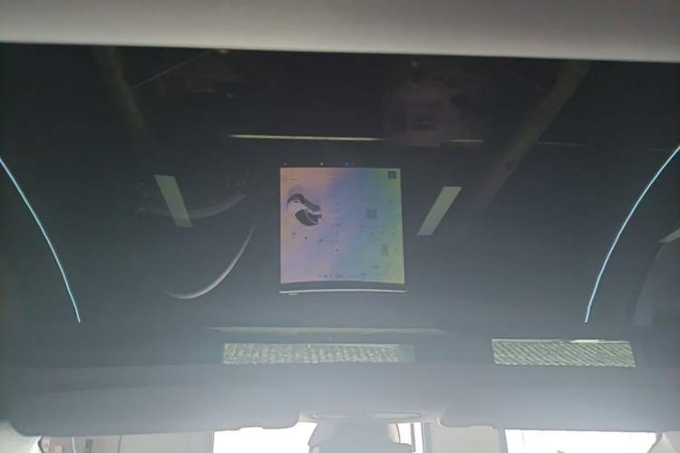 Used Tesla Model 3 2023 Rear-Wheel-Drive Version Headliner