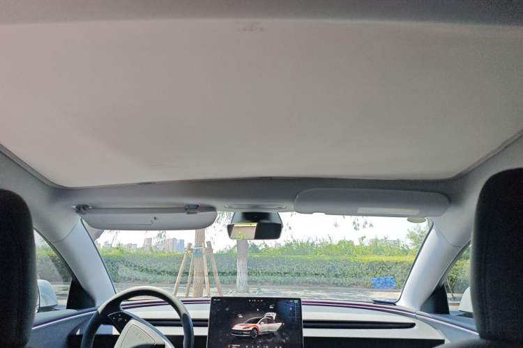 Used Tesla Model 3 2023 Rear-Wheel-Drive Version Headliner