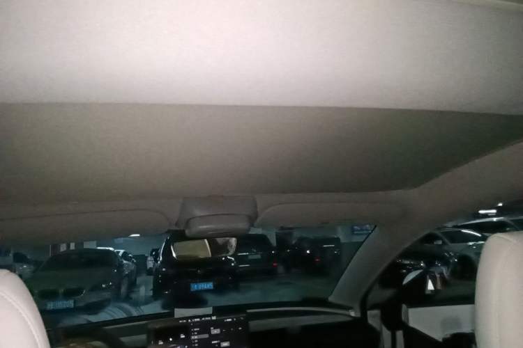 Used Tesla Model 3 2023 Rear-Wheel-Drive Version Headliner