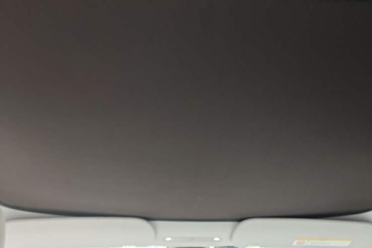 Used Tesla Model 3 2023 Rear-Wheel-Drive Version Headliner