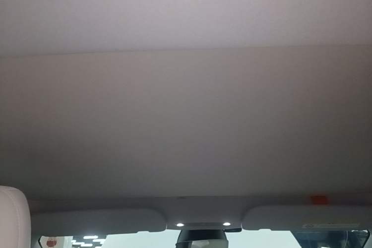 Used Tesla Model 3 2023 Long-Range All-Wheel-Drive Version Headliner