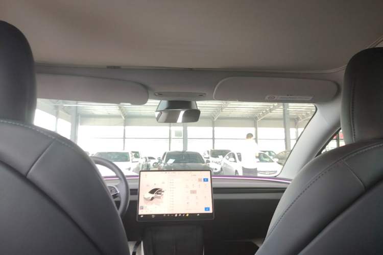 Used Tesla Model 3 2023 Rear-Wheel-Drive Version Headliner