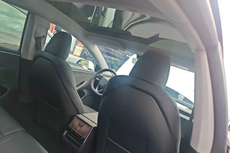 Used Tesla Model 3 2023 Long-Range All-Wheel-Drive Version Headliner