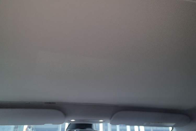 Used Tesla Model 3 2023 Rear-Wheel-Drive Version Headliner