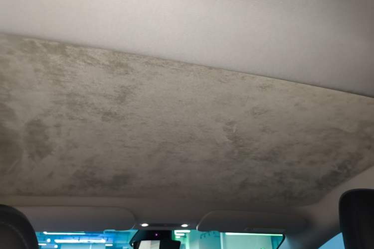 Used Tesla Model 3 2023 Rear-Wheel-Drive Version Headliner