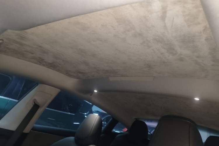 Used Tesla Model 3 2023 Rear-Wheel-Drive Version Headliner
