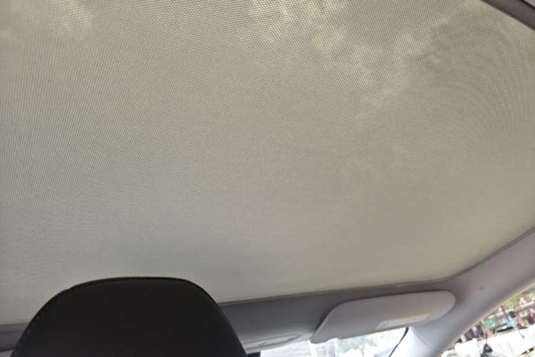 Used Tesla Model 3 2023 Long-Range All-Wheel-Drive Version Headliner