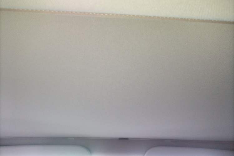 Used Tesla Model 3 2023 Rear-Wheel-Drive Version Headliner