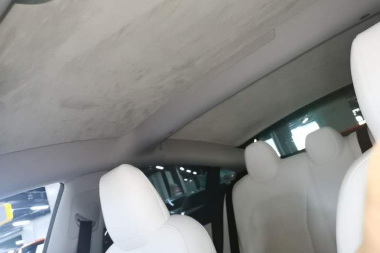 Used Tesla Model 3 2023 Rear-Wheel-Drive Version Headliner