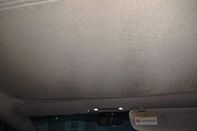 Used Tesla Model 3 2023 Rear-Wheel-Drive Version Headliner