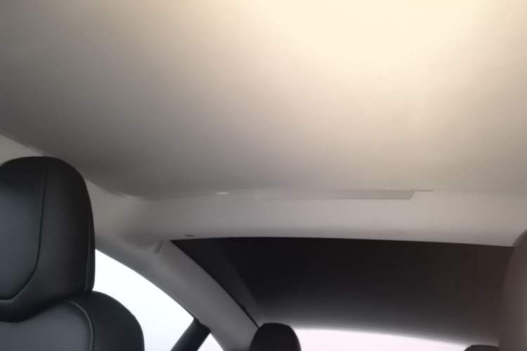 Used Tesla Model 3 2023 Rear-Wheel-Drive Version Headliner