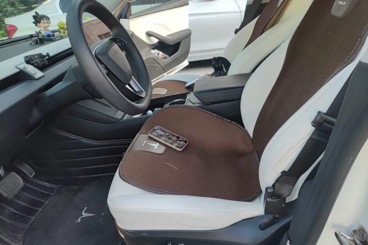 Used Tesla Model 3 2023 Rear-Wheel-Drive Version Left Front Seat