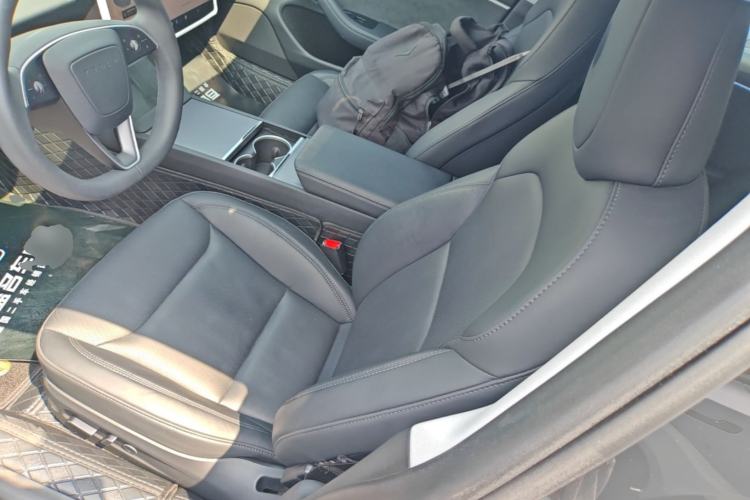 Used Tesla Model 3 2023 Long-Range All-Wheel-Drive Version Left Front Seat