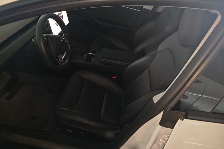 Used Tesla Model 3 2023 Long-Range All-Wheel-Drive Version Left Front Seat