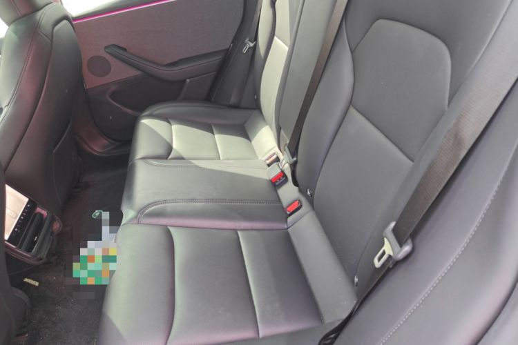 Used Tesla Model 3 2023 Rear-Wheel-Drive Version Left Rear Seat