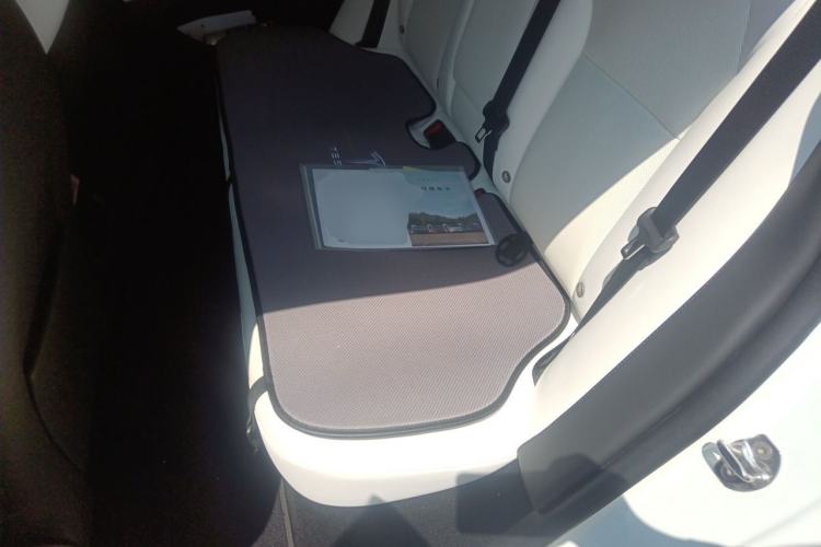 Used Tesla Model 3 2023 Long-Range All-Wheel-Drive Version Left Rear Seat
