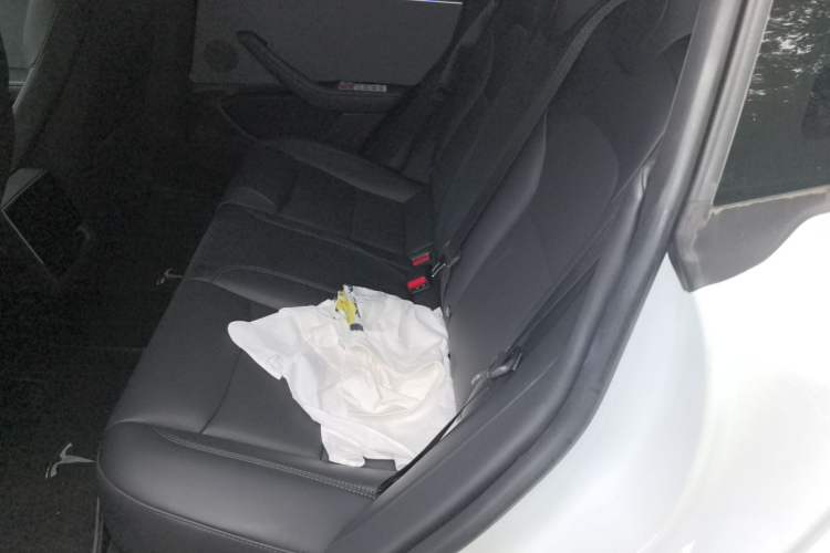 Used Tesla Model 3 2023 Rear-Wheel-Drive Version Left Rear Seat