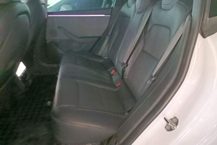 Used Tesla Model 3 2023 Rear-Wheel-Drive Version Left Rear Seat