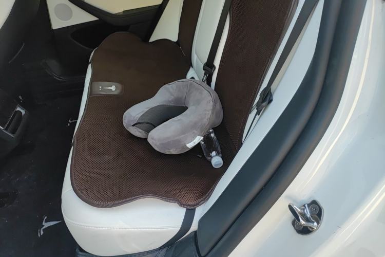 Used Tesla Model 3 2023 Rear-Wheel-Drive Version Left Rear Seat