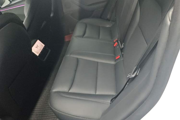 Used Tesla Model 3 2023 Rear-Wheel-Drive Version Left Rear Seat