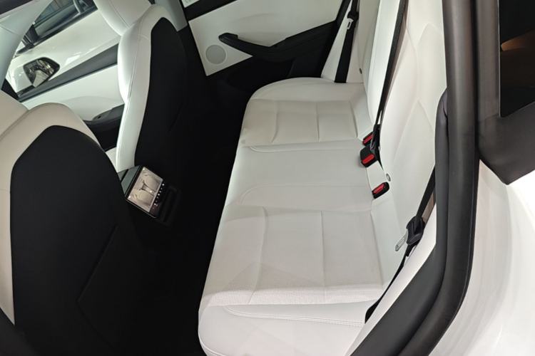 Used Tesla Model 3 2023 Long-Range All-Wheel-Drive Version Left Rear Seat