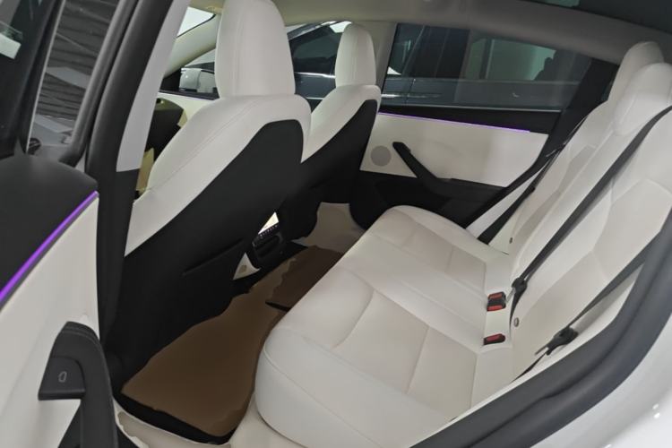 Used Tesla Model 3 2023 Long-Range All-Wheel-Drive Version Left Rear Seat