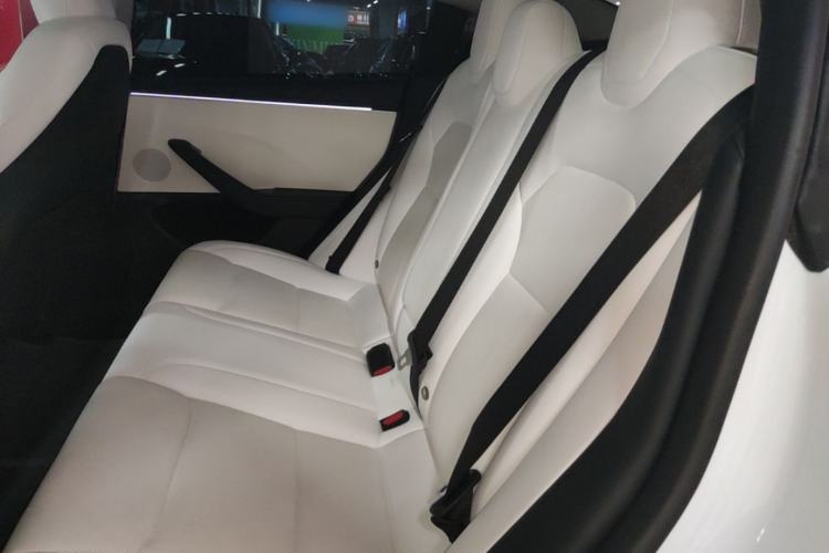 Used Tesla Model 3 2023 Long-Range All-Wheel-Drive Version Left Rear Seat