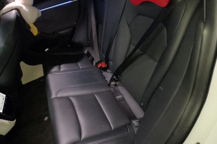 Used Tesla Model 3 2023 Long-Range All-Wheel-Drive Version Left Rear Seat