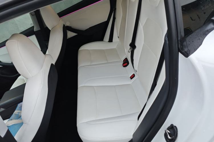 Used Tesla Model 3 2023 Rear-Wheel-Drive Version Left Rear Seat