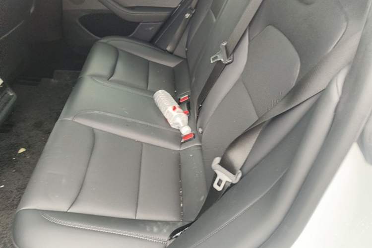 Used Tesla Model 3 2023 Rear-Wheel-Drive Version Left Rear Seat