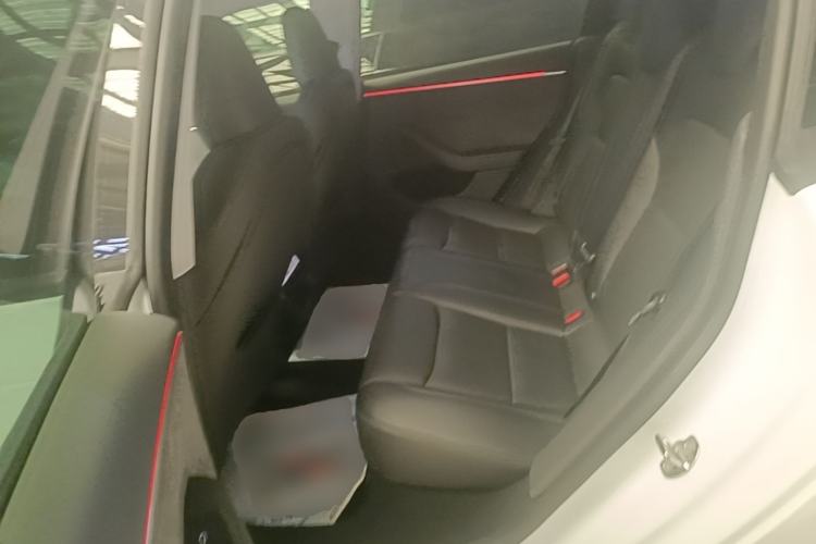 Used Tesla Model 3 2023 Long-Range All-Wheel-Drive Version Left Rear Seat