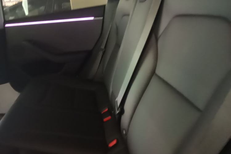 Used Tesla Model 3 2023 Rear-Wheel-Drive Version Left Rear Seat