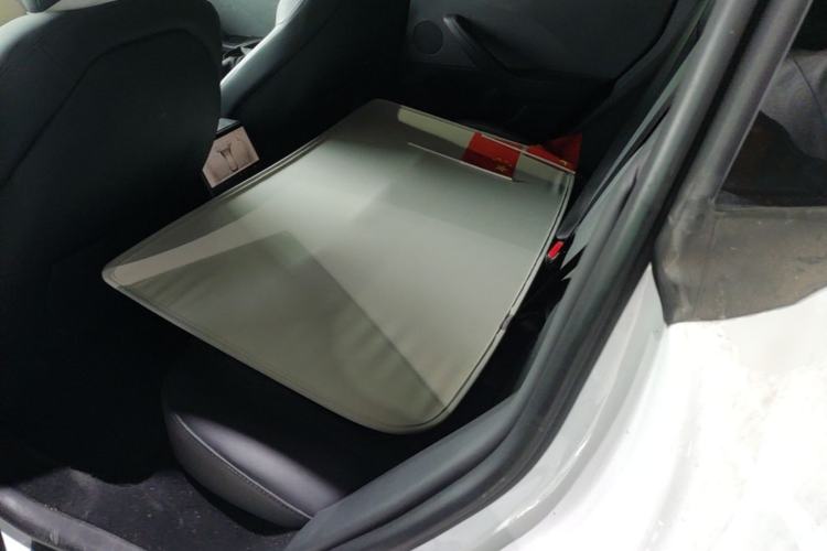 Used Tesla Model 3 2023 Rear-Wheel-Drive Version Left Rear Seat