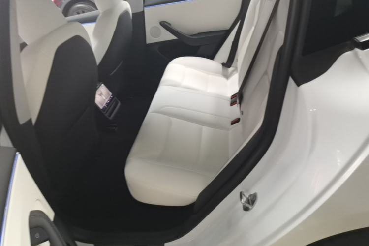 Used Tesla Model 3 2023 Long-Range All-Wheel-Drive Version Left Rear Seat