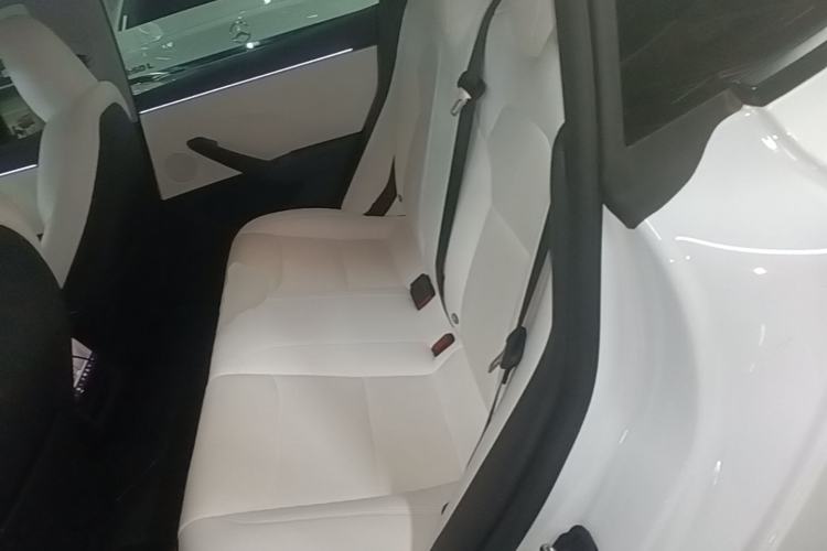 Used Tesla Model 3 2023 Long-Range All-Wheel-Drive Version Left Rear Seat