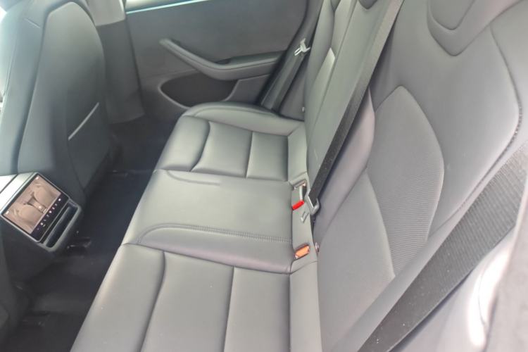 Used Tesla Model 3 2023 Long-Range All-Wheel-Drive Version Left Rear Seat