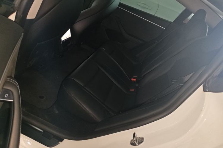 Used Tesla Model 3 2023 Long-Range All-Wheel-Drive Version Left Rear Seat