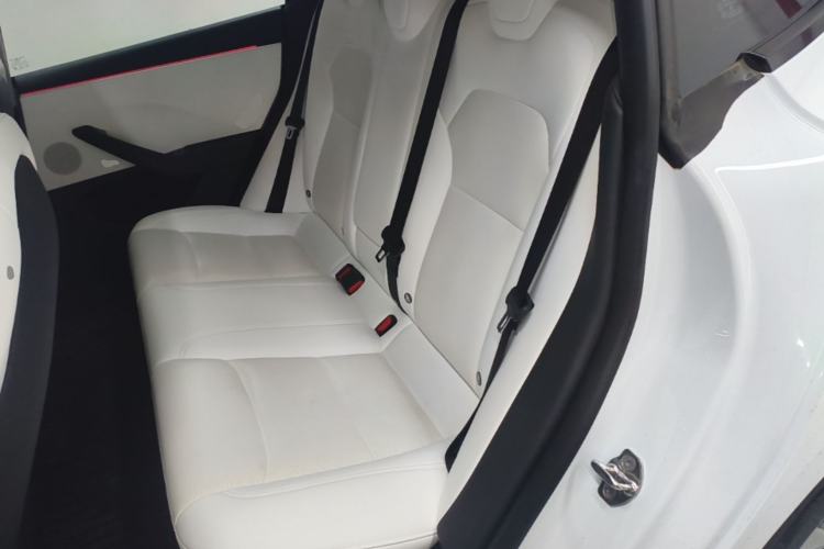 Used Tesla Model 3 2023 Long-Range All-Wheel-Drive Version Left Rear Seat