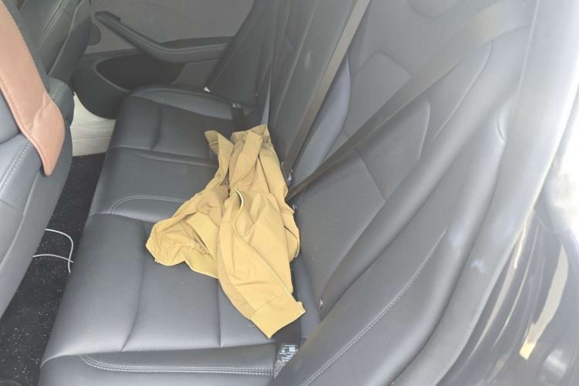 Used Tesla Model 3 2023 Rear-Wheel-Drive Version Left Rear Seat