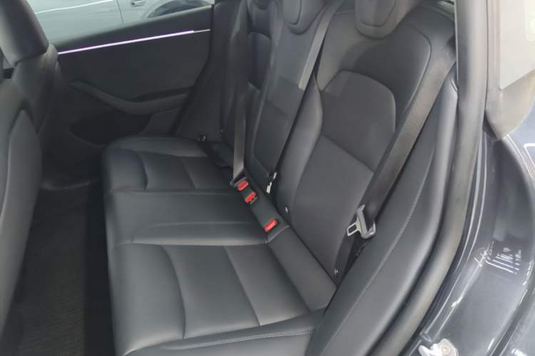 Used Tesla Model 3 2023 Long-Range All-Wheel-Drive Version Left Rear Seat