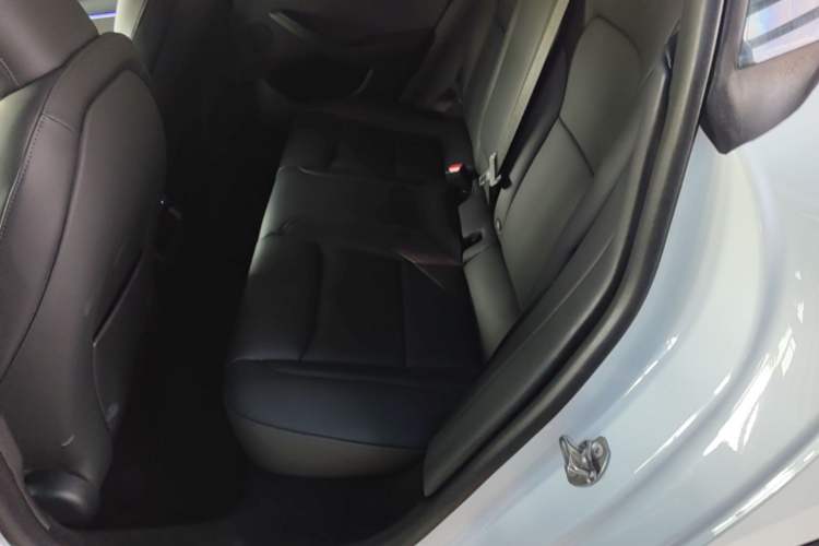 Used Tesla Model 3 2023 Rear-Wheel-Drive Version Left Rear Seat