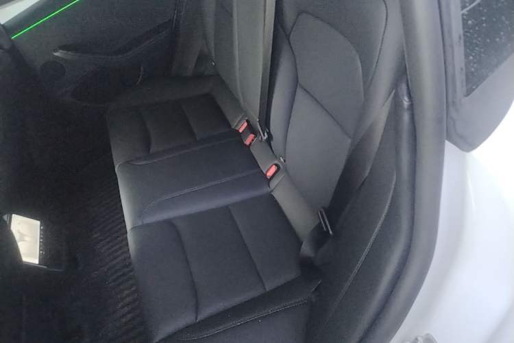 Used Tesla Model 3 2023 Long-Range All-Wheel-Drive Version Left Rear Seat